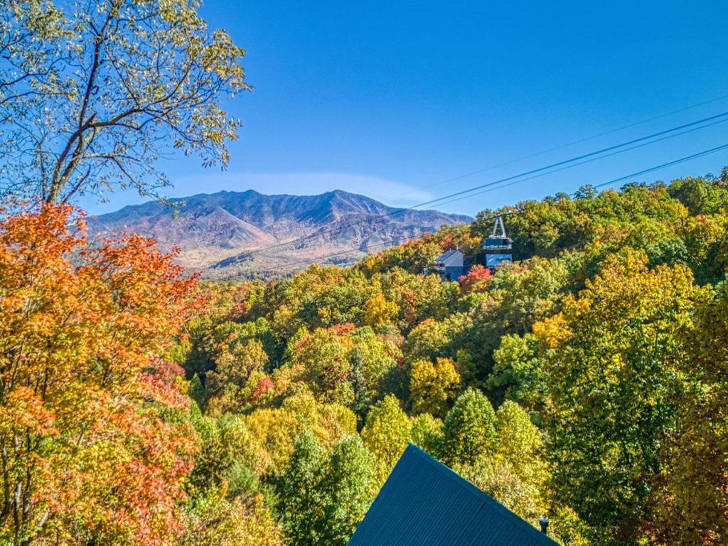 Villa Four Bears Den à Gatlinburg Extérieur photo
